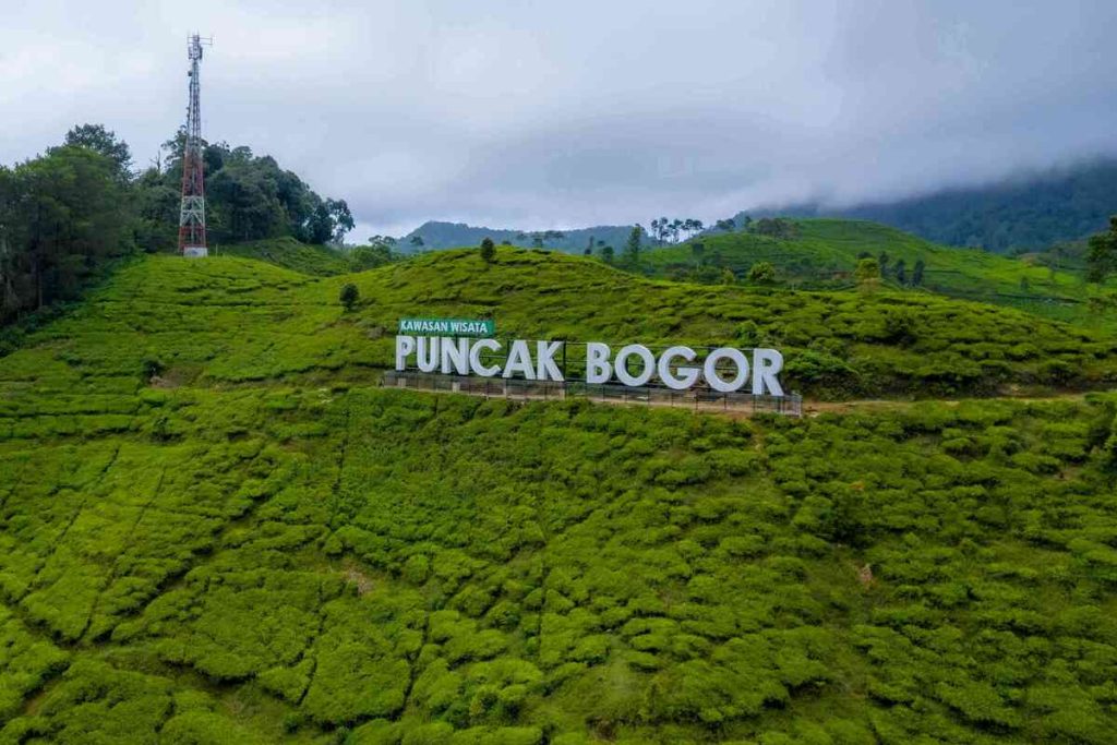 puncak bogor