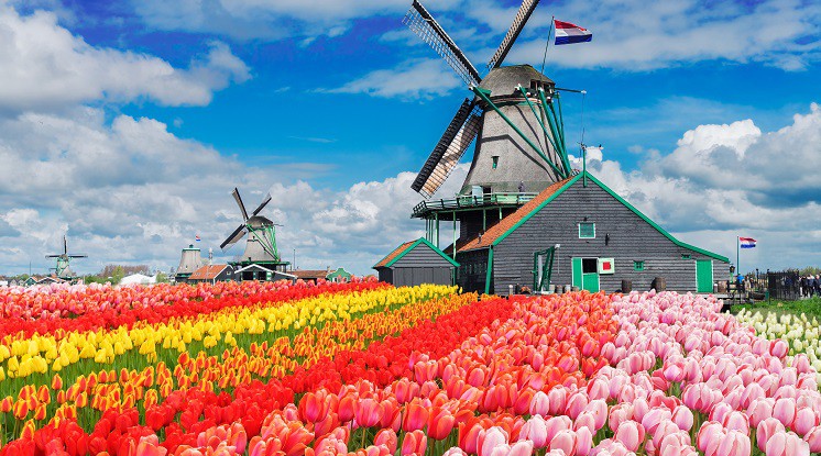 wisata halal Keukenhof belanda