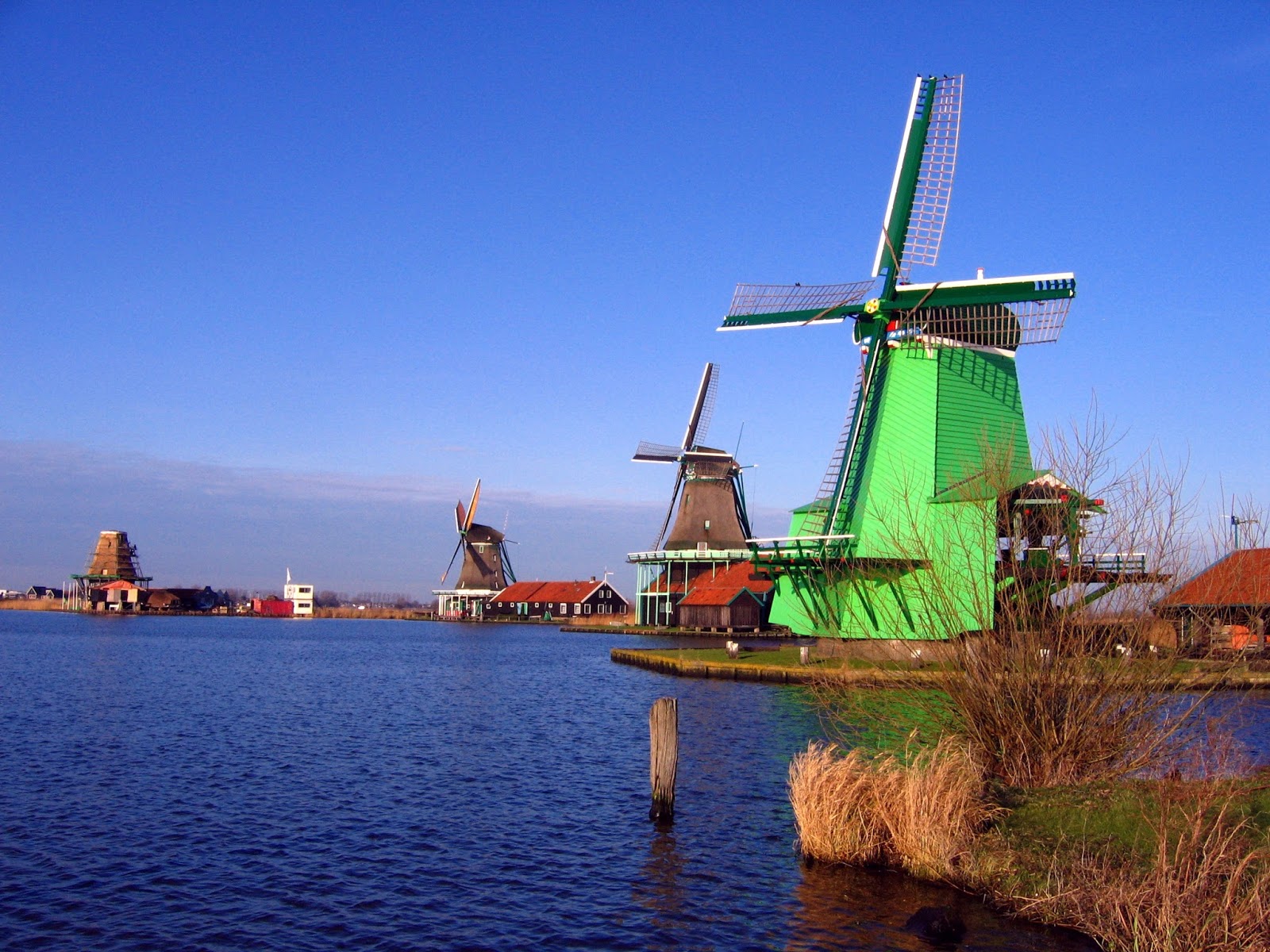 wisata halal Zaanse Schans belanda